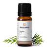 naissance-olio-essenziale-di-cipresso-n-114-distillato-a-vapore-vegano-e-cruelty image 3